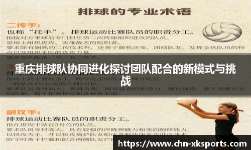 重庆排球队协同进化探讨团队配合的新模式与挑战
