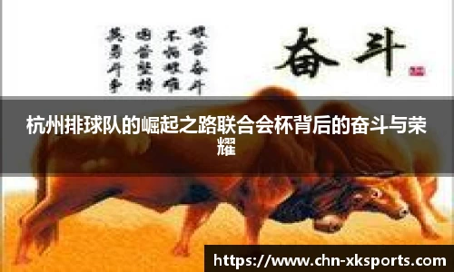 杭州排球队的崛起之路联合会杯背后的奋斗与荣耀